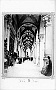 PADOVA-IL PORTICO DELLE DEBITE (Adriano Danieli)